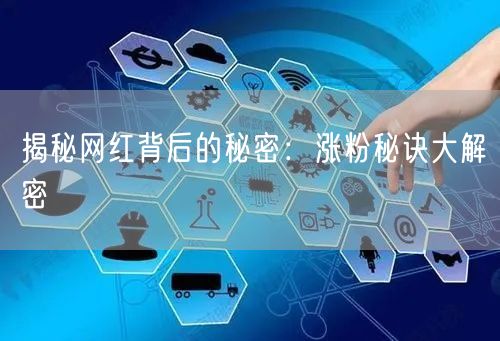 揭秘网红背后的秘密：涨粉秘诀大解密