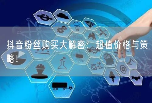 抖音粉丝购买大解密：超值价格与策略！