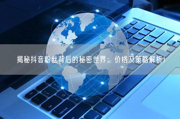 揭秘抖音粉丝背后的秘密世界：价格及策略解析！