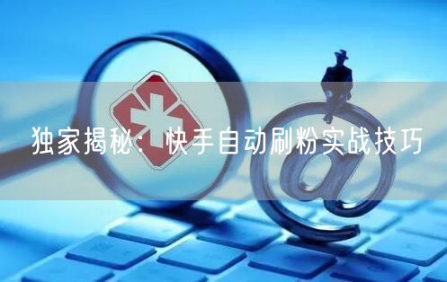 独家揭秘：快手自动刷粉实战技巧