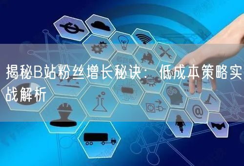 揭秘B站粉丝增长秘诀：低成本策略实战解析