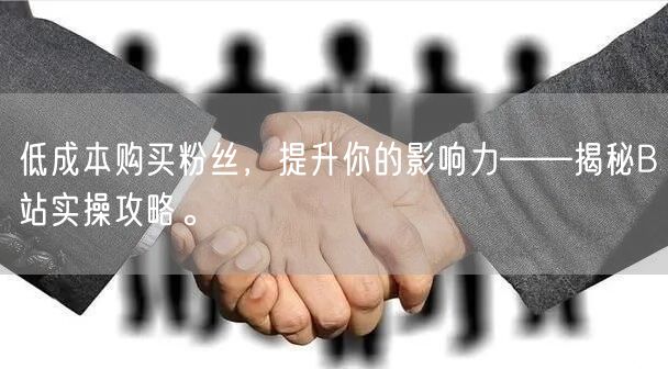 低成本购买粉丝，提升你的影响力——揭秘B站实操攻略。