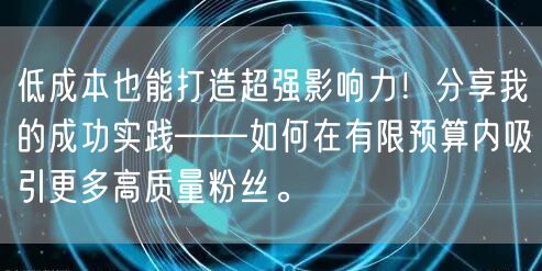 低成本也能打造超强影响力！分享我的成功实践——如何在有限预算内吸引更多高质量粉丝