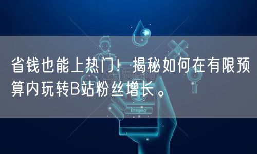 省钱也能上热门！揭秘如何在有限预算内玩转B站粉丝增长。