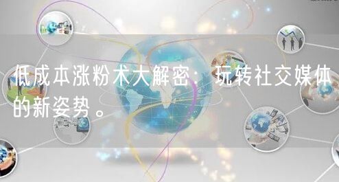 低成本涨粉术大解密：玩转社交媒体的新姿势。