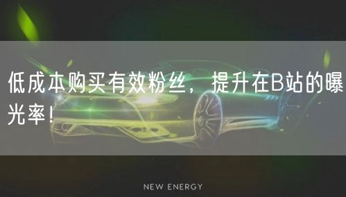 低成本购买有效粉丝，提升在B站的曝光率！