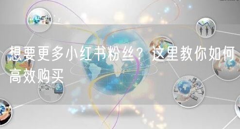 想要更多小红书粉丝？这里教你如何高效购买