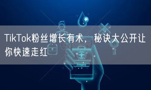 TikTok粉丝增长有术，秘诀大公开让你快速走红