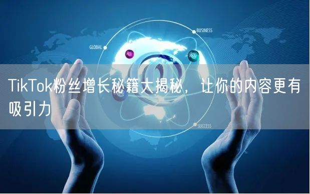 TikTok粉丝增长秘籍大揭秘，让你的内容更有吸引力