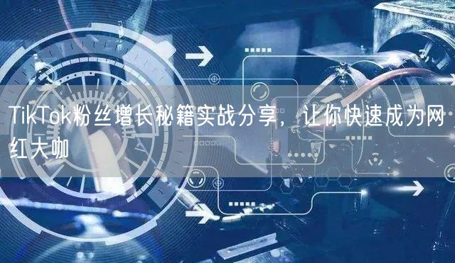 TikTok粉丝增长秘籍实战分享，让你快速成为网红大咖