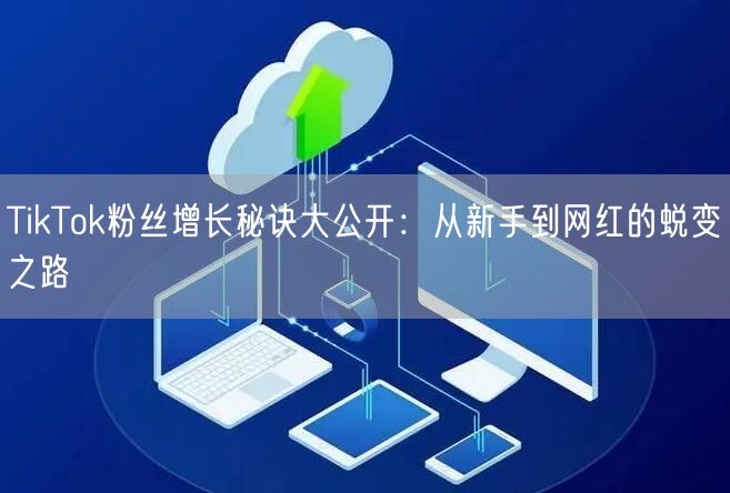 TikTok粉丝增长秘诀大公开：从新手到网红的蜕变之路