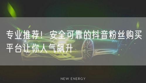 专业推荐！安全可靠的抖音粉丝购买平台让你人气飙升