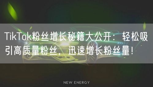 TikTok粉丝增长秘籍大公开：轻松吸引高质量粉丝，迅速增长粉丝量！
