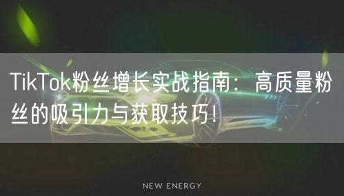 TikTok粉丝增长实战指南：高质量粉丝的吸引力与获取技巧！