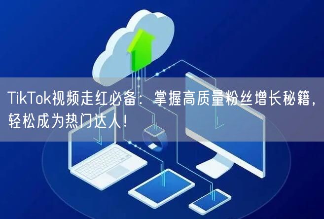 TikTok视频走红必备：掌握高质量粉丝增长秘籍，轻松成为热门达人！
