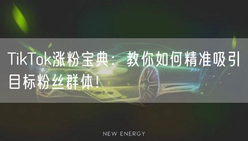 TikTok涨粉宝典：教你如何精准吸引目标粉丝群体！