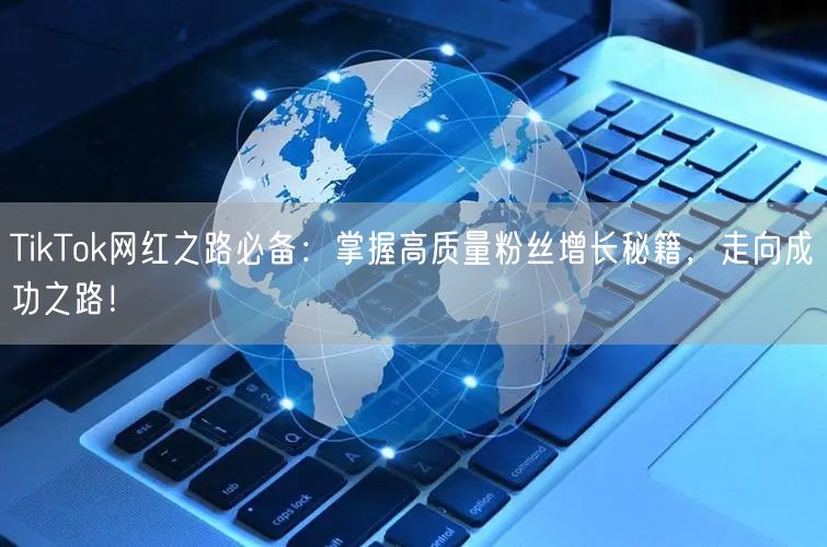 TikTok网红之路必备：掌握高质量粉丝增长秘籍，走向成功之路！
