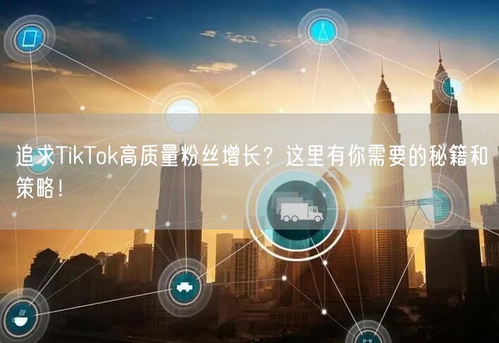 追求TikTok高质量粉丝增长？这里有你需要的秘籍和策略！