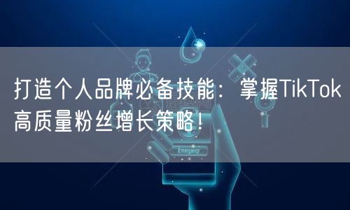 打造个人品牌必备技能：掌握TikTok高质量粉丝增长策略！
