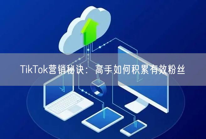 TikTok营销秘诀：高手如何积累有效粉丝