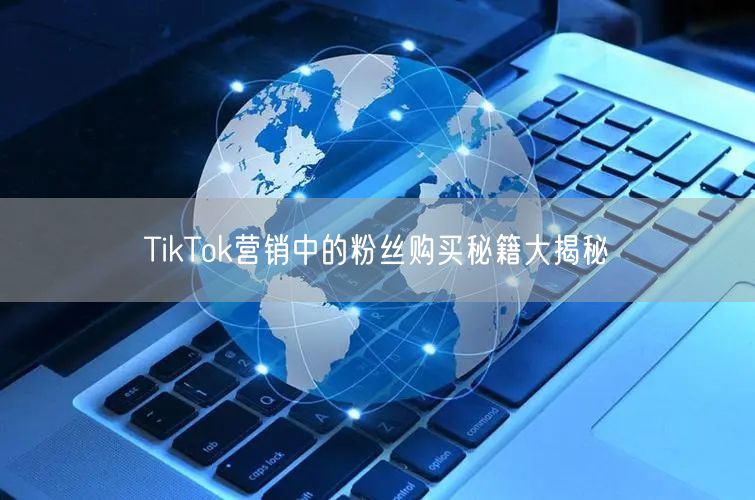 TikTok营销中的粉丝购买秘籍大揭秘