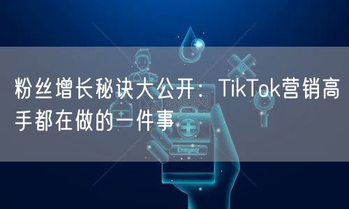 粉丝增长秘诀大公开：TikTok营销高手都在做的一件事