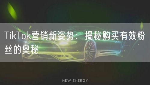 TikTok营销新姿势：揭秘购买有效粉丝的奥秘