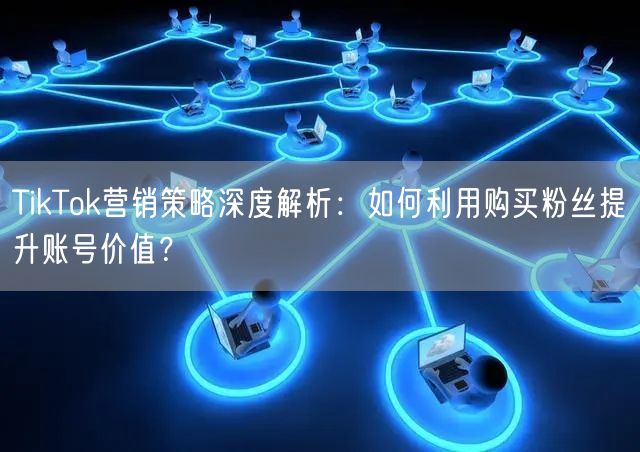 TikTok营销策略深度解析：如何利用购买粉丝提升账号价值？