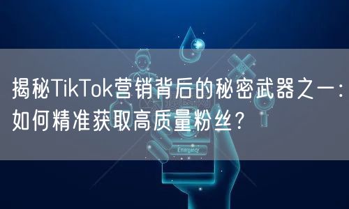 揭秘TikTok营销背后的秘密武器之一：如何精准获取高质量粉丝？