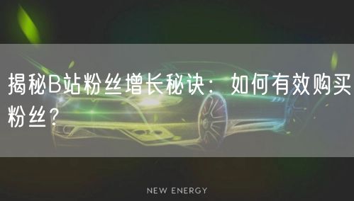 揭秘B站粉丝增长秘诀：如何有效购买粉丝？