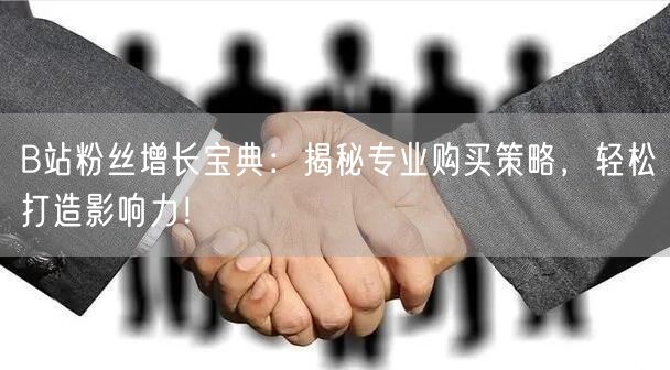 B站粉丝增长宝典：揭秘专业购买策略，轻松打造影响力！