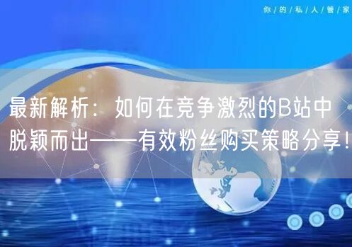 最新解析：如何在竞争激烈的B站中脱颖而出——有效粉丝购买策略分享！