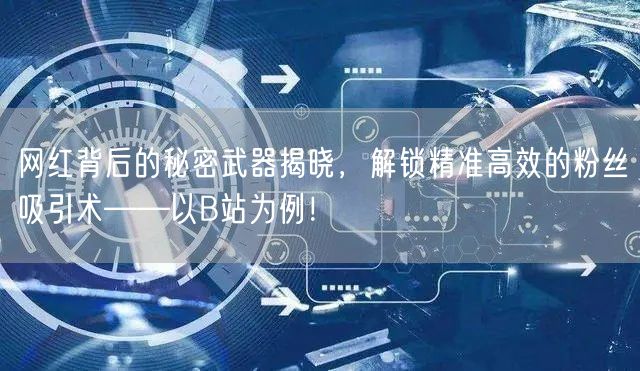 网红背后的秘密武器揭晓，解锁精准高效的粉丝吸引术——以B站为例！