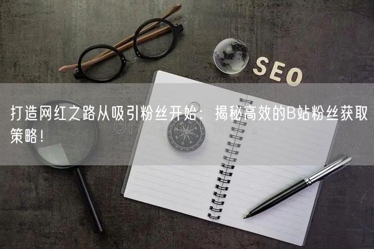 打造网红之路从吸引粉丝开始：揭秘高效的B站粉丝获取策略！