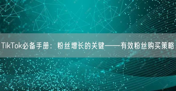 TikTok必备手册：粉丝增长的关键——有效粉丝购买策略