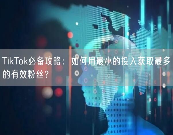 TikTok必备攻略：如何用最小的投入获取最多的有效粉丝？