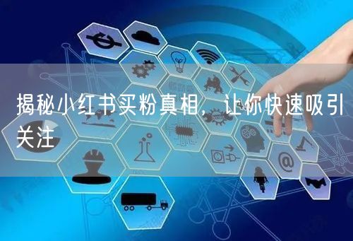 揭秘小红书买粉真相，让你快速吸引关注
