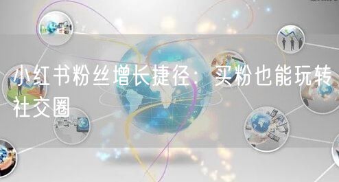 小红书粉丝增长捷径：买粉也能玩转社交圈