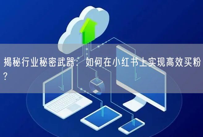 揭秘行业秘密武器：如何在小红书上实现高效买粉?