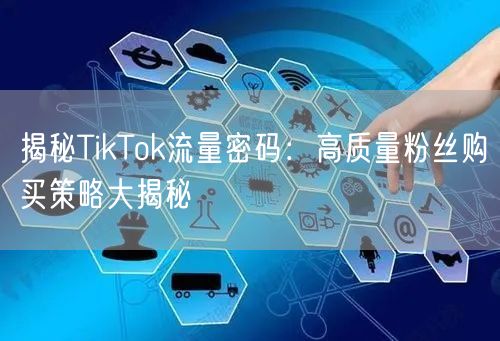 揭秘TikTok流量密码：高质量粉丝购买策略大揭秘