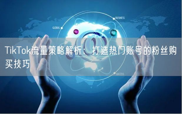 TikTok流量策略解析：打造热门账号的粉丝购买技巧