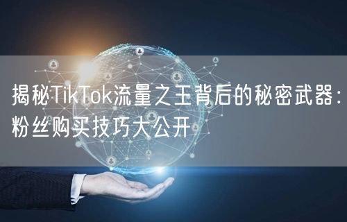 揭秘TikTok流量之王背后的秘密武器：粉丝购买技巧大公开