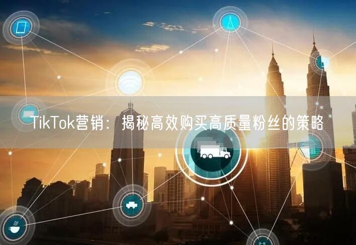 TikTok营销：揭秘高效购买高质量粉丝的策略