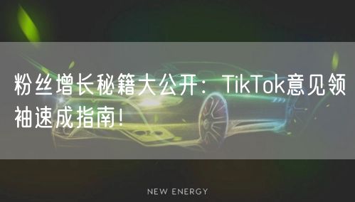 粉丝增长秘籍大公开:TikTok意见领袖速成指南!
