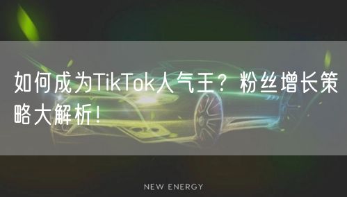如何成为TikTok人气王？粉丝增长策略大解析！