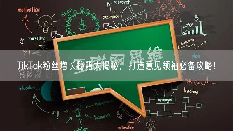 TikTok粉丝增长秘籍大揭秘，打造意见领袖必备攻略！