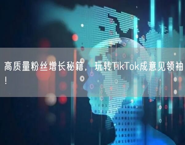 高质量粉丝增长秘籍，玩转TikTok成意见领袖！