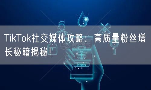 TikTok社交媒体攻略：高质量粉丝增长秘籍揭秘！