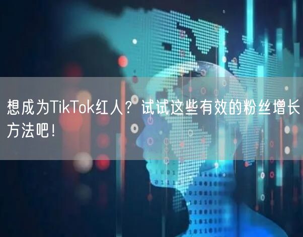 想成为TikTok红人？试试这些有效的粉丝增长方法吧！
