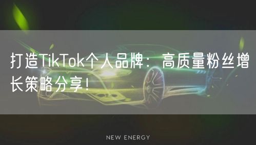 打造TikTok个人品牌：高质量粉丝增长策略分享！